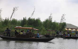 美丽的溱湖湿地公园