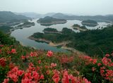 千岛湖一日游