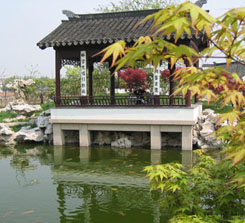 枫桥