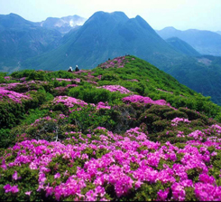江西井岗.杜鹃山索道