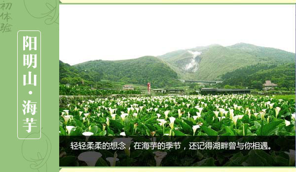 台湾初体验_台湾旅游路线报价_同程出境游